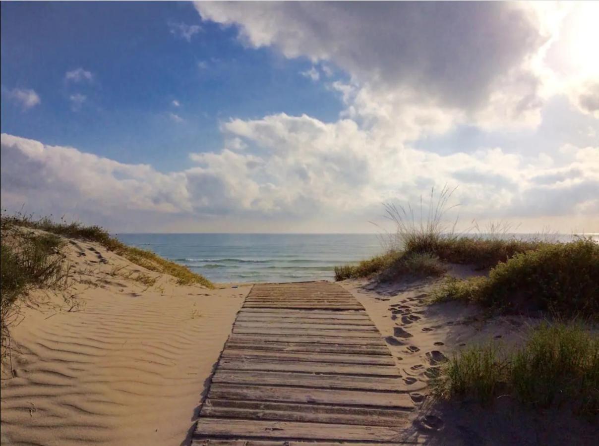 Apartamento Nuevo En La Playa- Met- Oliva Nova Golf Kültér fotó